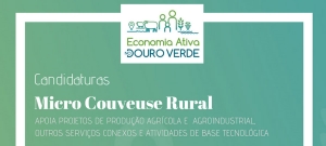 Dolmen abre candidaturas a novo Programa de Incubação
