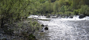 Adjudicado projeto do Parque Botânico e Fluvial Temático do Rio Paiva
